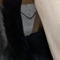 飼い主さんがPCで作業をしていたら、猫が腕に…予想外の『可愛すぎるア…