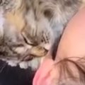猫を優しく抱き寄せて寝かしつける女の子……涙が出るほど『尊い光景』に１…