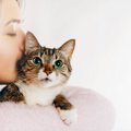 猫を飼って気がついた！９つの理想と現実