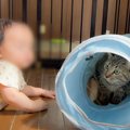 猫が赤ちゃんに寛大すぎた結果…驚きの『無防備な姿』が微笑ましすぎる…