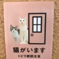 玄関に付けて、脱走防止に一役！『猫が居ますシール』