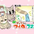 半分アメショのつくねとコナン【第31話】「イタズラした①」