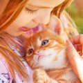 『猫をお迎えする』方法とは？主な方法や飼う前の心構え・準備するこ…