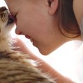 猫に『思いを伝えたい』ときの方法3つ　良好な関係を保ちながら気持ち…