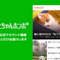 ねこちゃんホンポのLINE公式アカウントがオープンしました！【友だち…