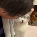 長男にだけ『特別な甘え方』をする猫…まるで恋人同士のような『尊すぎ…