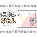 ねこよんコギわん【第29話】「こんなんでもいいの？」