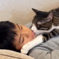 高熱を出して『寝込んでいる男の子』に……猫が見せた『普段とは違う姿』に…