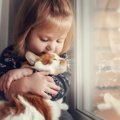 『猫と暮らす子供』が得られるメリット5選　成長に与える良い影響とは…