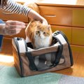 猫が『キャリーバッグ』へ入るのを嫌がるときの対処法6つ　入れるようにな…