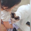 0歳の赤ちゃんに近づいて行った猫が、次の瞬間…まさかの『尊すぎる光景』…