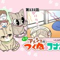 半分アメショのつくねとコナン【第131話】 「熱中症に気をつけよう」