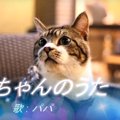 猫ちゃんパロディで空耳アワー♪