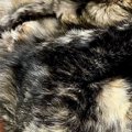 椅子の上で仲良くくつろぐ『2匹のサビ猫』…まるでトリックアートのような…