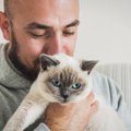 猫吸いって何？猫好きにはたまらない！メリットや注意点を解説