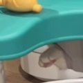 『赤ちゃん用のおもちゃ』を設置したら、ネコが……尊すぎる『まさかの…