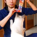 お水を飲まない猫ちゃんが豹変！？ゴクゴク飲める魔法のアイテム