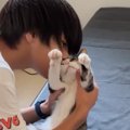 横になってくつろいでいた猫のもとに息子が近づいていくと…『されるが…