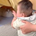 猫は初めてみた赤ちゃんが『泣き出したら』どうする？…人見知り全開の行動…