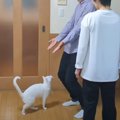 ママが『おいで』と言うと飛び乗ってくる猫→パパが呼んでみると…想定外す…