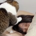 深夜2時、眠っているママのもとへ向かった猫→どうしても甘えたくて…『…