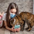 【噛む】スマホを攻撃する猫の５つの心理【踏む】