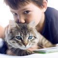 猫の『催促』に気づいている？3つの仕草・行動