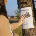 「決してあきらめない！」300万円以上を費やし、行方不明になった愛猫…