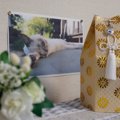 亡くなった愛猫の『遺骨の供養方法』5つ　自宅で保管する場合の注意点…