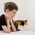 猫との『距離を取ったほうがいい』5つのタイミング　近付いてはいけない理…