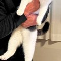 『猫が大嫌い』で『断固拒否』していたおじいちゃん→約１年後……『信じられ…