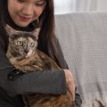 猫の性格は『毛色や模様』によって決まるの？5つのタイプ別の特徴や遺伝の…