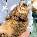 猫が大好きなパパと再会した結果…抱っこで見せた『可愛すぎる寝方』に…