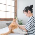 猫が急に『赤ちゃん返り』をする原因5つ　妙に甘えてくるのはなぜ？上手な…