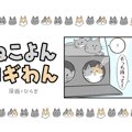 ねこよんコギわん【第45話】「ねこホイホイ」