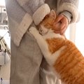 甘えん坊の元野良猫→作業中のママに…かまってほしくて見せた『悶絶級…