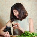 猫はセロリを食べても大丈夫？与えてダメな理由と食べたときの対処法