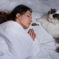 猫が『ありがとう』と伝えているときのサイン4選　よく見られる場面や応え…