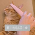 「ねこじゃすり」の口コミ・評判は？上手な使い方もご紹介！