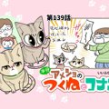 半分アメショのつくねとコナン【第139話】 「形あるもの⋯」