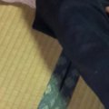 普段は人に近寄ってこない猫たち→『おばあちゃんが来た』結果…まさか…