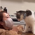 飼い主が『布マスク』をつけて待っていると…猫がとった『まさかの行動』に…