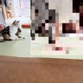 横で見ていた猫がドン引き…ペットカメラに映っていた『母の奇行』が18…