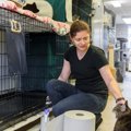 猫のために働くことができる『お仕事』3選　主な仕事内容から役立つス…