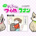 半分アメショのつくねとコナン【第167話】 「健診に行こう①」