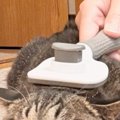 ブラッシングされる猫→正面から『顔』を見てみると…まさかの光景に２…
