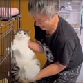 「涙腺崩壊」保護から約1年半もの間、ケージから出てこられなかった猫…