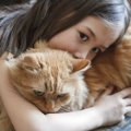 「猫っぽい人」と猫の性格は同じ？