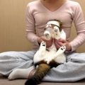 爪切りを頑張る猫ちゃんに『目隠し』を試した結果は？