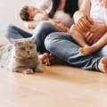 愛猫と暮らす家庭に『赤ちゃん』が産まれたときの注意点5つ　猫は人間の子…